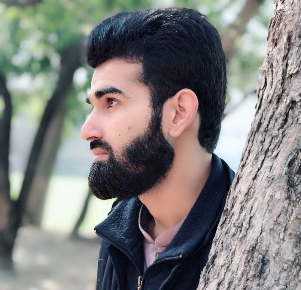 Developer